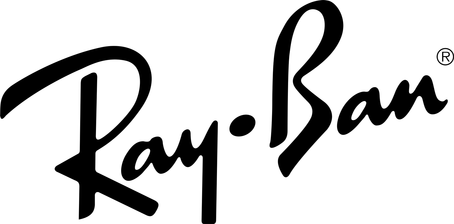Ray Ban Eyewear